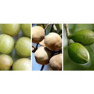 Organic Triphala | 50 Vegan Capsules | Cibobenessere