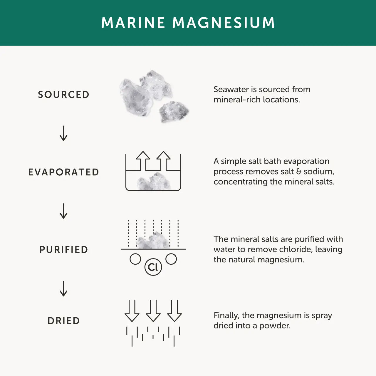 Magnesium (30 Capsules) - Together Health