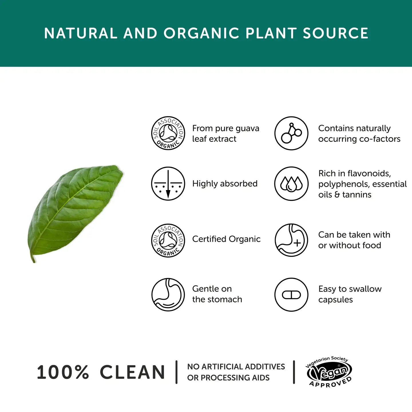 Zinc Supplement – Vegan – 30 Capsules | Together Health