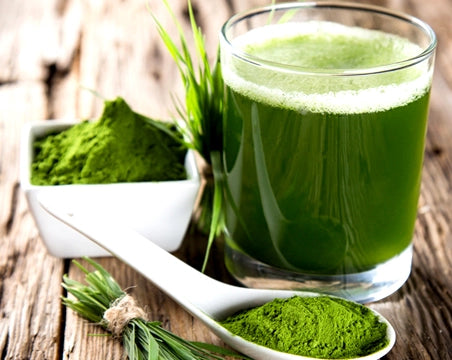 Moringa Organic Caps | Cibobenessere