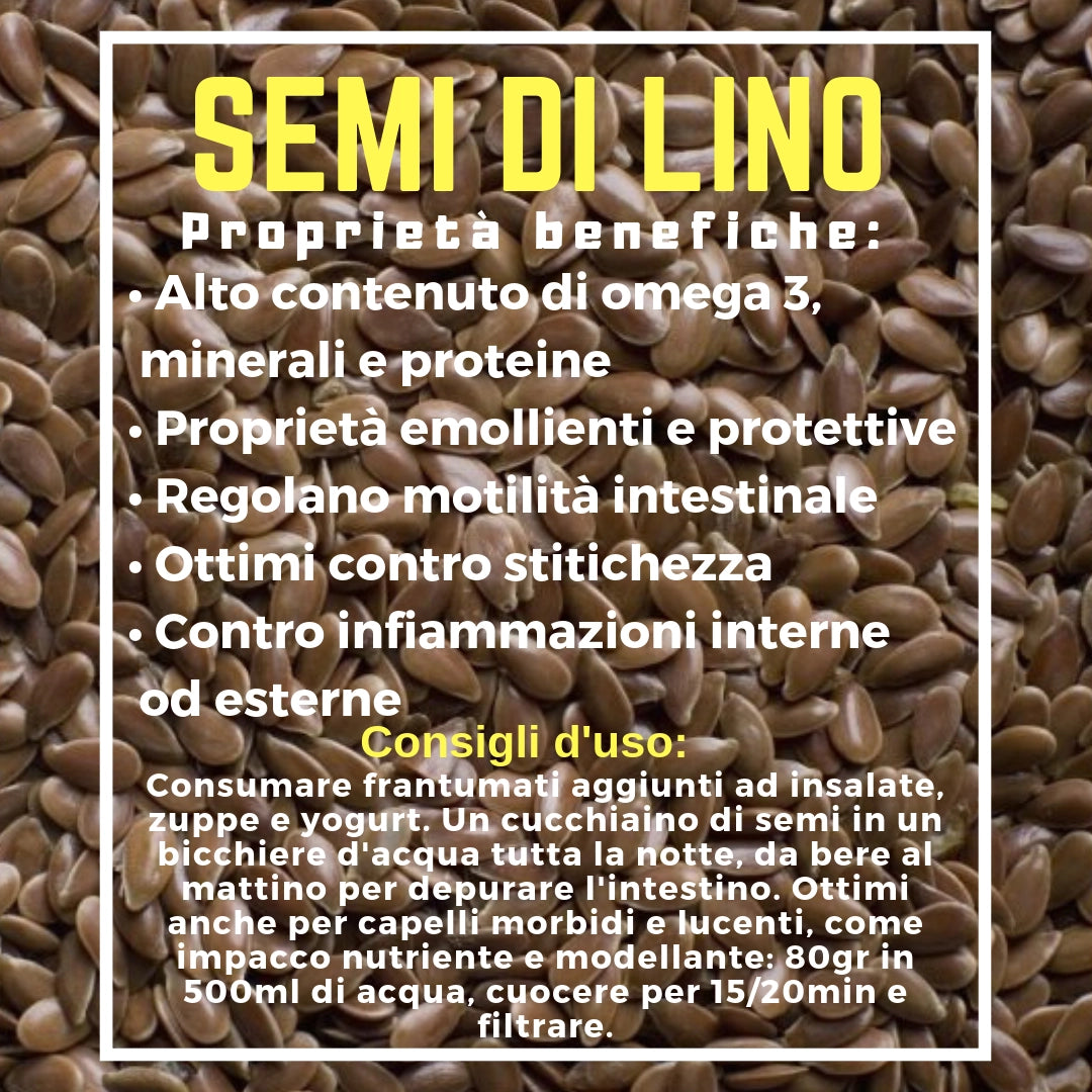 Flax Seeds | Cibobenessere
