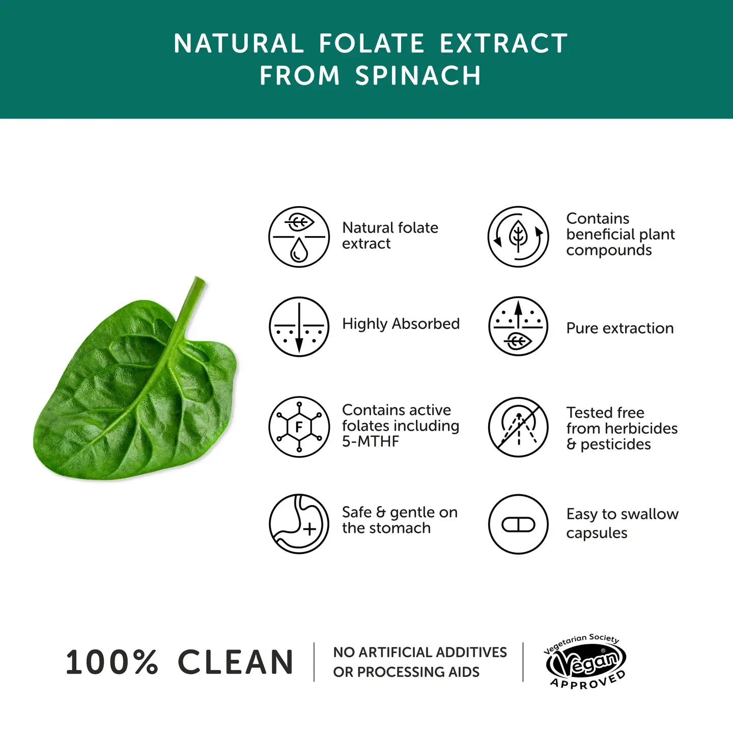Folate – Natural Alternative To Folic Acid – 30 Capsules | Together Health