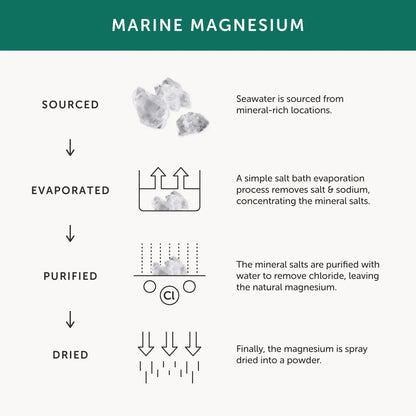 Magnesium (30 Capsules) - Together Health