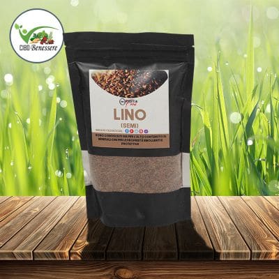 Flax Seeds | Cibobenessere