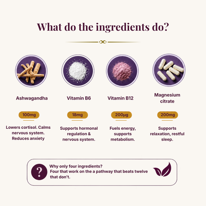 Peri-/Menopauze Stress Support Matrix