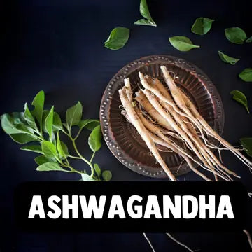 Ashwagandha Organic - 60 TABLETS - Cibobenessere