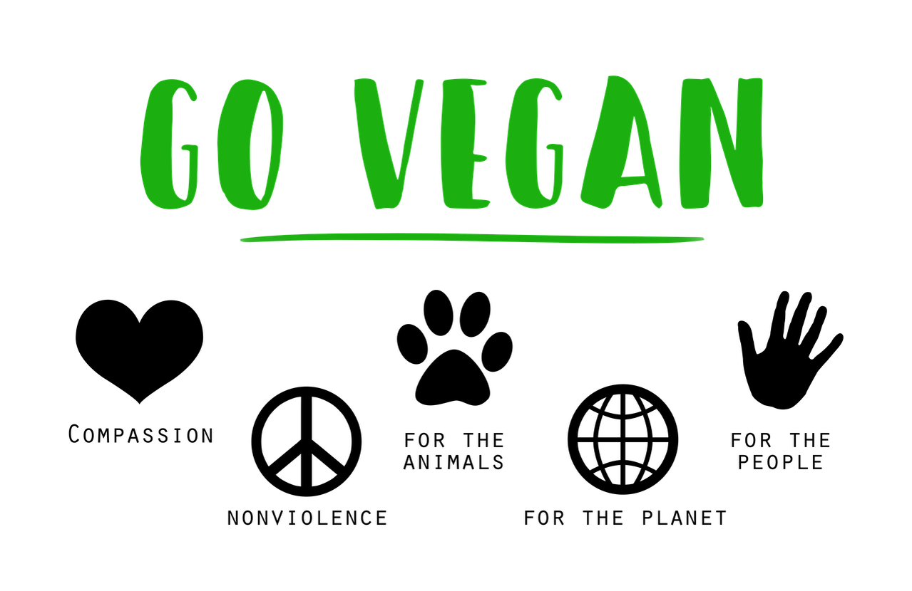 Ashwagandha Organic - 60 TABLETS - Cibobenessere